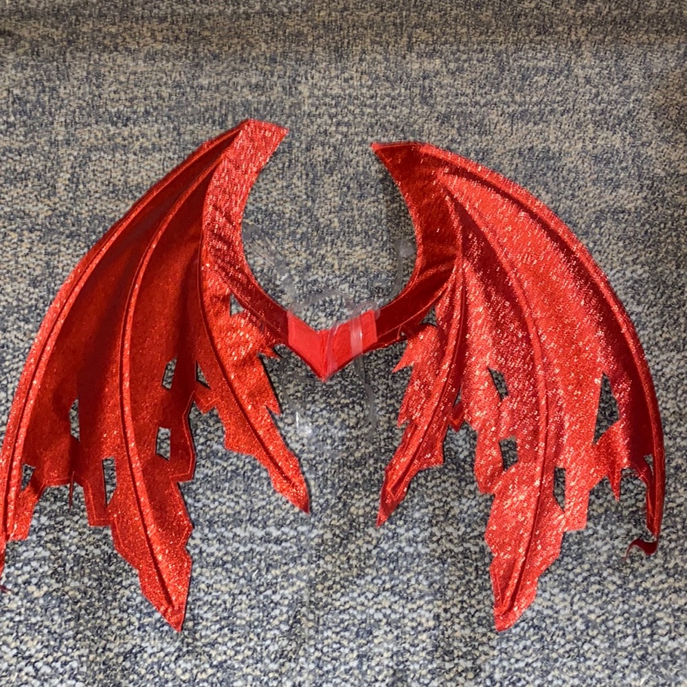 Costume Wings